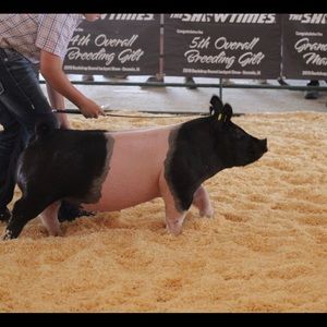 Meet your Posher, Lukas